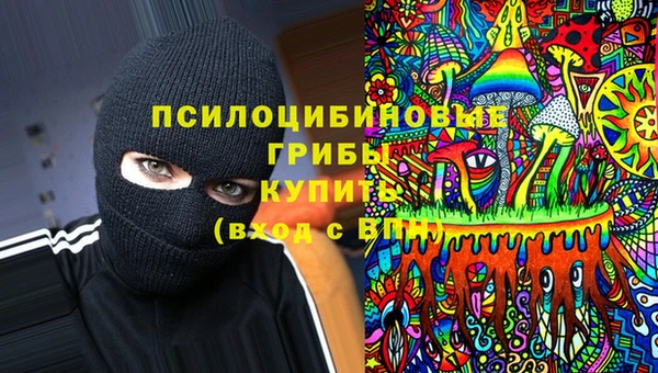 альфа пвп Медногорск