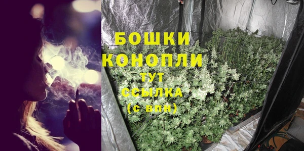 ECSTASY Медвежьегорск