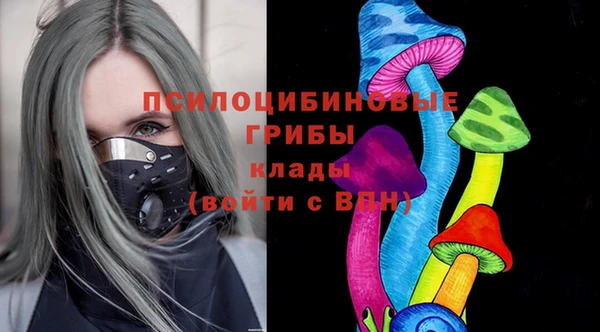 ECSTASY Медвежьегорск