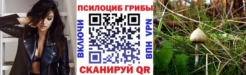 наркотики Джанкой Галлюциногенные грибы MAGIC MUSHROOMS