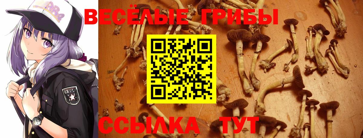 Псилоцибиновые грибы ЛСД  Галлюциногенные грибы MAGIC MUSHROOMS  Джанкой 