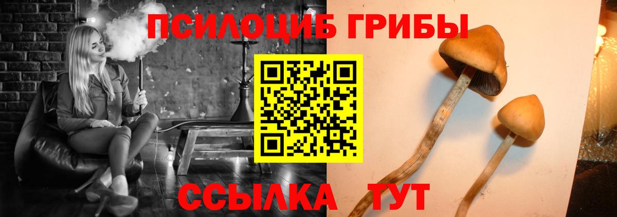 Псилоцибиновые грибы Psilocybine cubensis  Галлюциногенные грибы ЛСД  Джанкой  Вход с VPN 